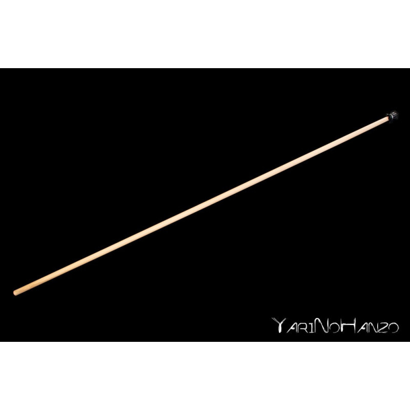 KATORI SHINTO RYU YARI | TANPO YARI | HAYA