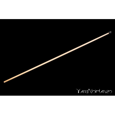 KATORI SHINTO RYU YARI | TANPO YARI | HAYA
