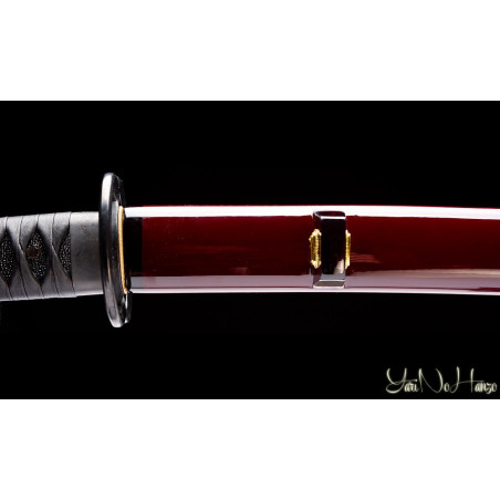 MIYAMOTO MUSASHI IAITO 11th ANIVERSARIO