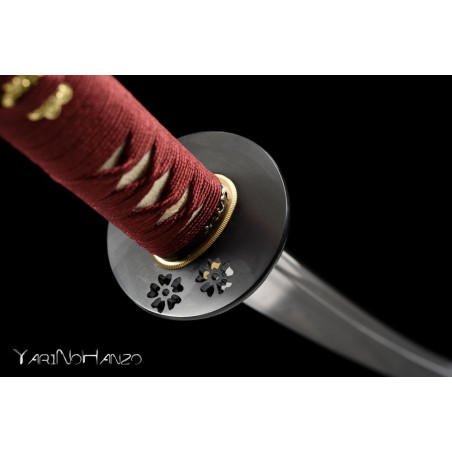 TAKEMATA KATANA LIMITED EDITION IAITO