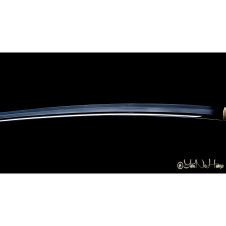 Dotanuki | Espada Japonesa | Iaito Katana Artesanal