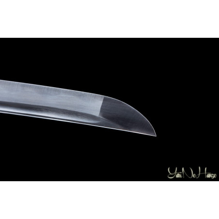 Shinobigatana (Ninja To)