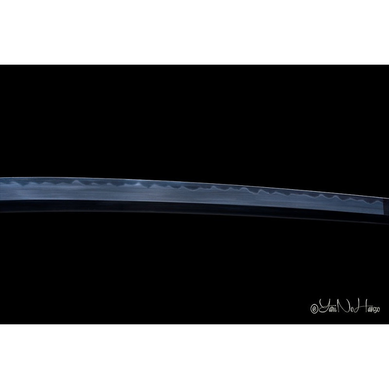 NEW Togakure Shinobigatana AF.