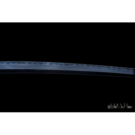 NEW Togakure Shinobigatana AF.