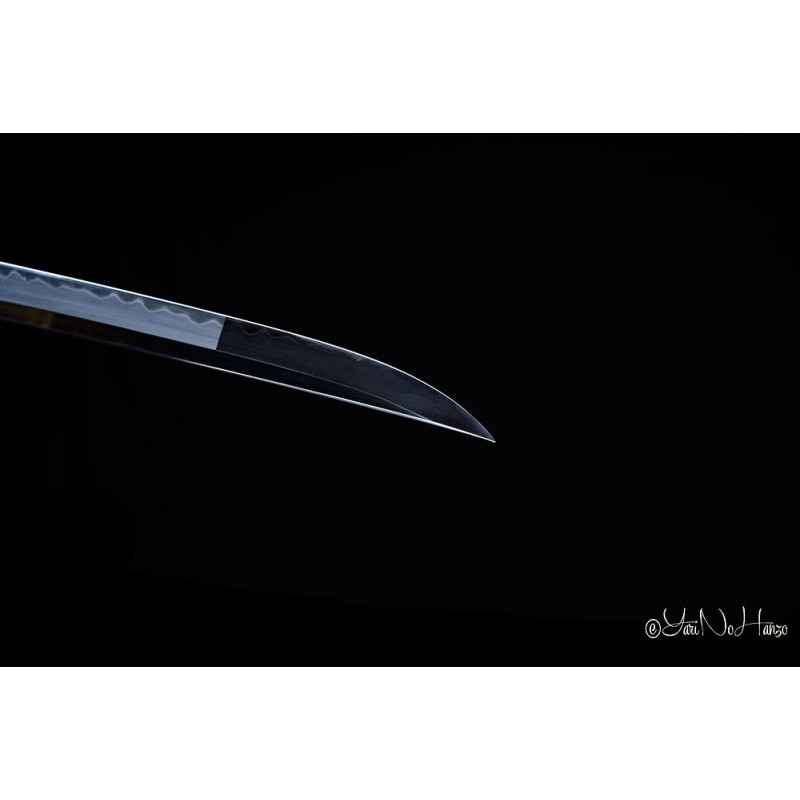 NEW Togakure Shinobigatana AF.