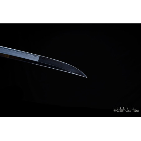 NEW Togakure Shinobigatana