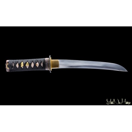 Kunishi Tanto 2