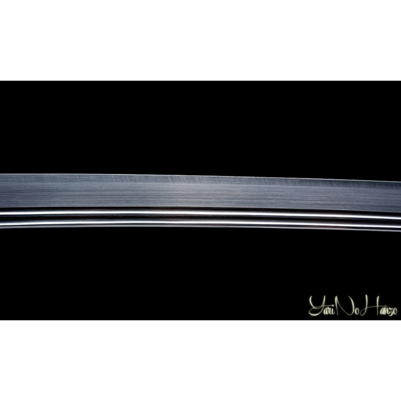 Shinden Fudo Ryu | Espada Japonesa | Iaito Katana Artesanal
