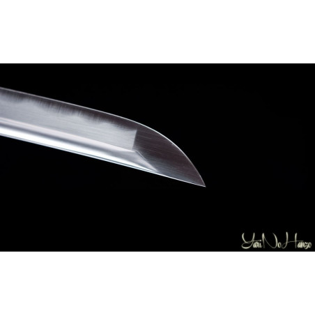 Sakura Iaito - GENERATION 2| Espada Japonesa | Iaito Katana Artesanal