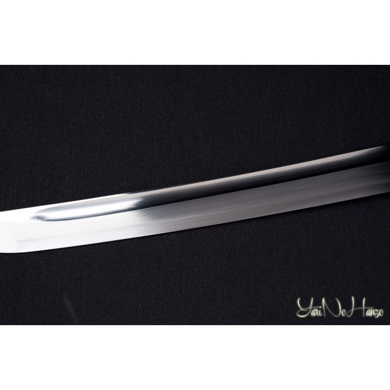 Practical Katana | Edición Limitada