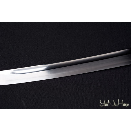 Practical Katana | Edición Limitada