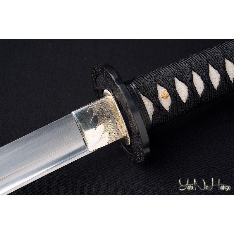 Practical Katana | Edición Limitada