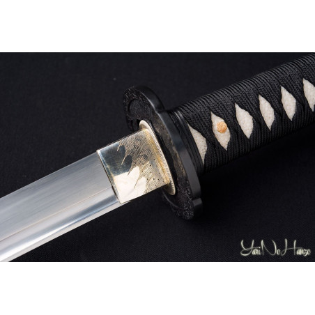 Practical Katana | Edición Limitada