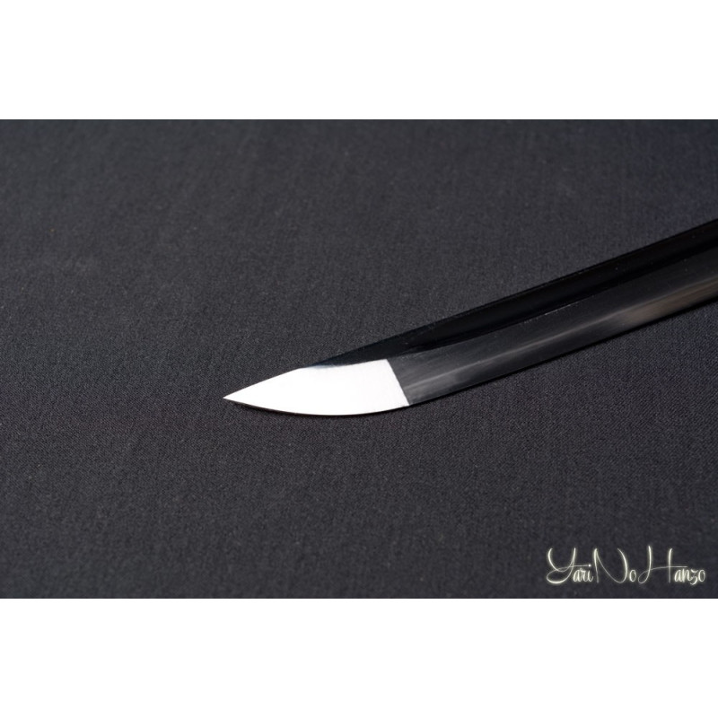 Practical Katana | Edición Limitada