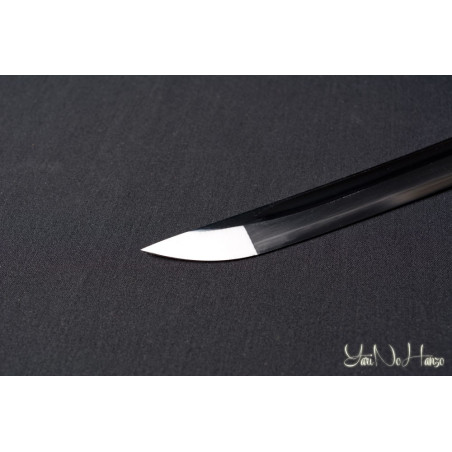 Practical Katana | Edición Limitada