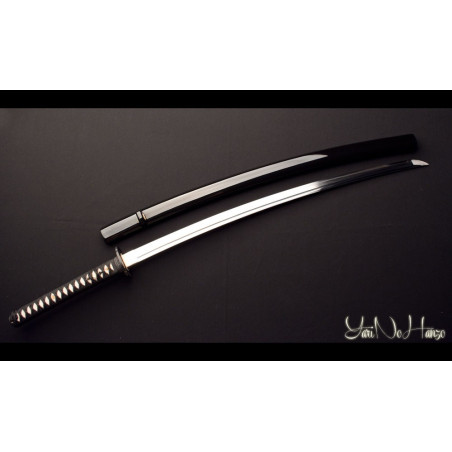 Practical Katana | Edición Limitada