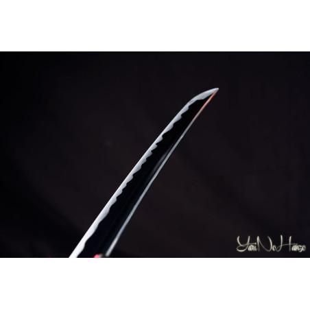 Taira Iaito | Espada Japonesa | Iaito Katana Artesanal