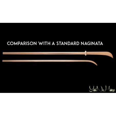 BISEN TO HAYA ARTESANAL