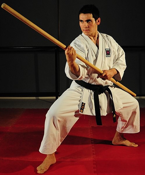 Usos del bo o bastón en las artes marciales