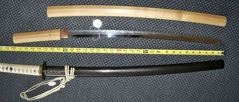 Qué es una shirasaya