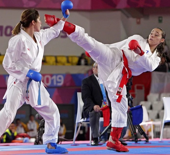 Ninjutsu vs kárate: diferencias