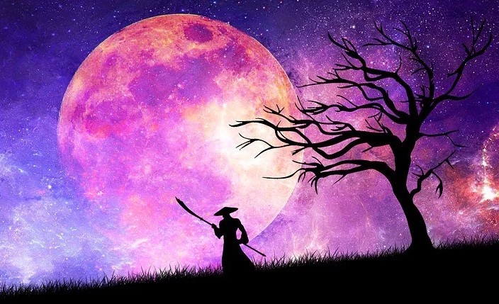 Qué significa Bujinkan?