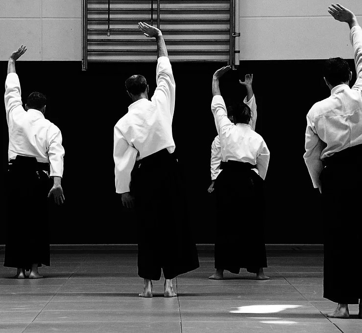 Diferencias entre aikido y kendo
